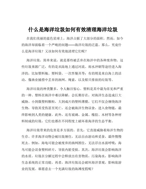 什么是海洋垃圾如何有效清理海洋垃圾
