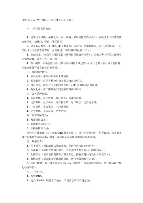 项目案名