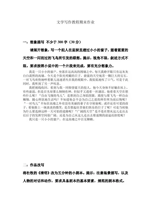 文学写作教程期末作业