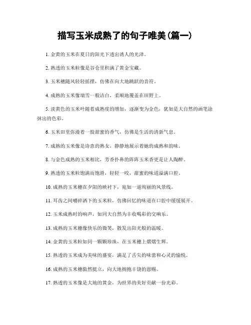 描写玉米成熟了的句子唯美(精选合集2篇)