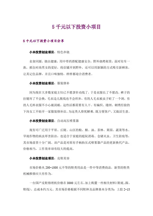5千元以下投资小项目