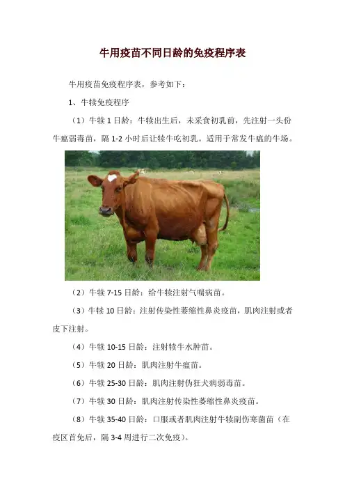 牛用疫苗不同日龄的免疫程序表