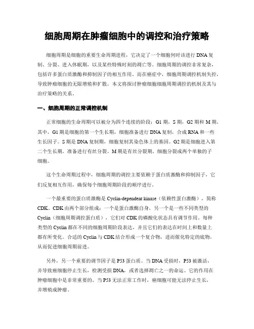 细胞周期在肿瘤细胞中的调控和治疗策略