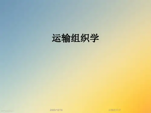 运输组织学
