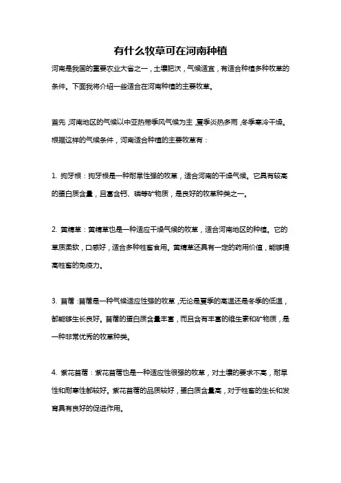 有什么牧草可在河南种植