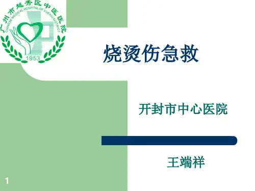 烧烫伤急救ppt课件