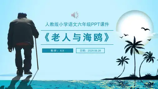 老人与海鸥人教版小学语文六年级PPT课件