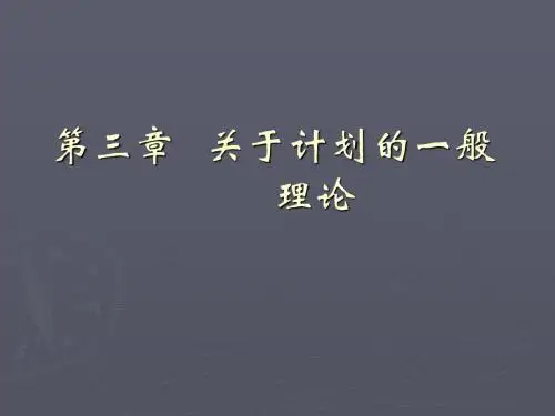 第三章  关于计划的一般理论