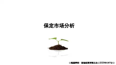 保定商业市场调研报告