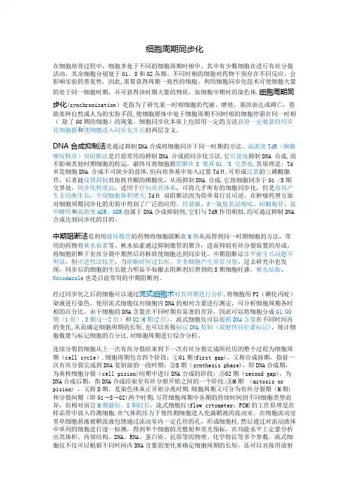 细胞周期同步化