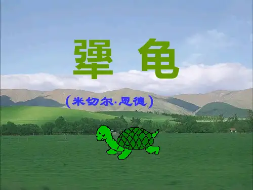 优质课[语文版]七年级语文(上)《犟龟》课件(38张PPT)(共38张PPT)