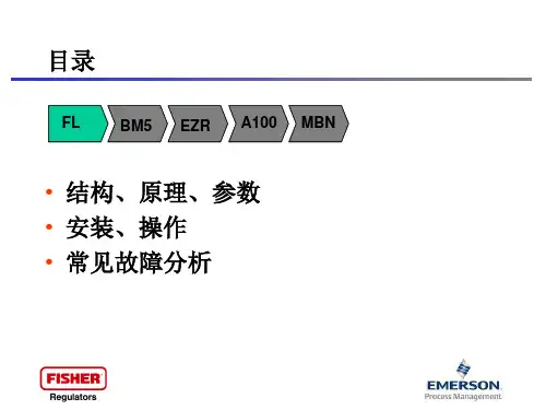 塔塔里尼调压器FLBM5介绍1共44页文档