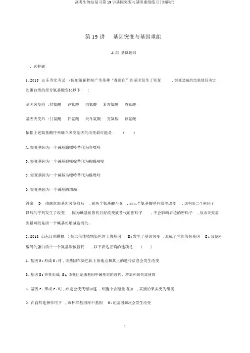 高考生物总复习第19讲基因突变与基因重组练习(含解析)