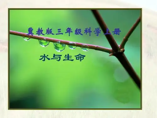 水与生命PPT课件冀教版三年级科学上册课件