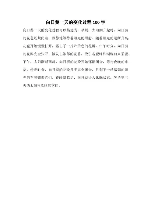 向日葵一天的变化过程100字
