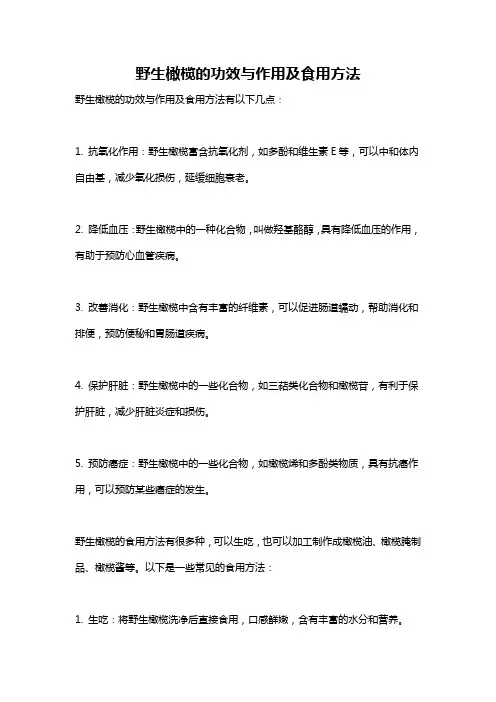野生橄榄的功效与作用及食用方法