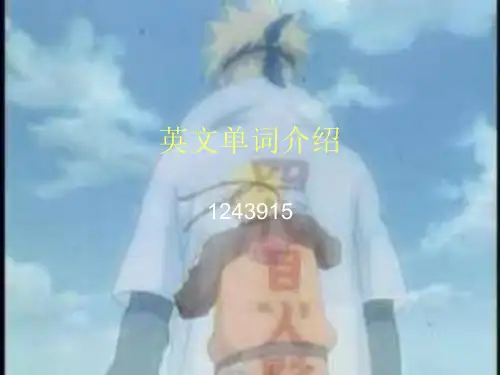 英文单词介绍