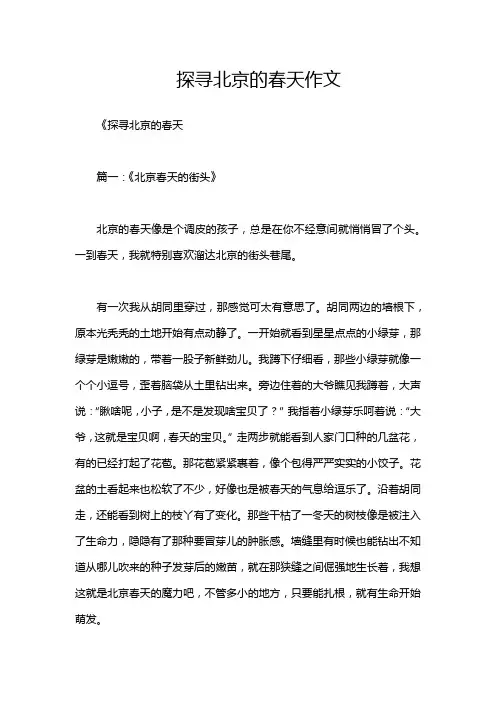 探寻北京的春天作文