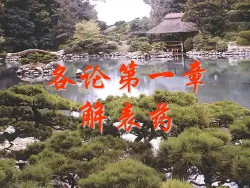 各论第一章解表药