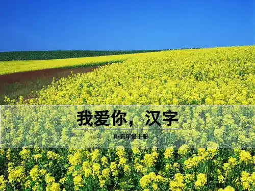 五年级上册语文课件-我爱你,汉字 人教新课标(共36张PPT)