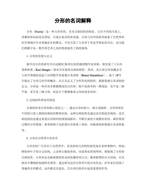 分形的名词解释