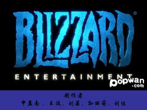 暴雪公司简介ppt(电子商务)