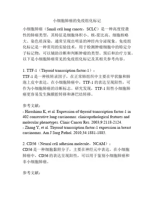 小细胞肺癌的免疫组化标记