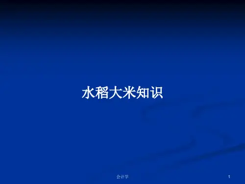 水稻大米知识PPT学习教案
