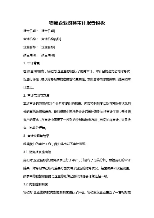 物流企业财务审计报告模板