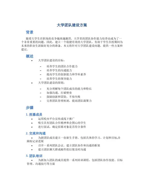 大学团队建设方案