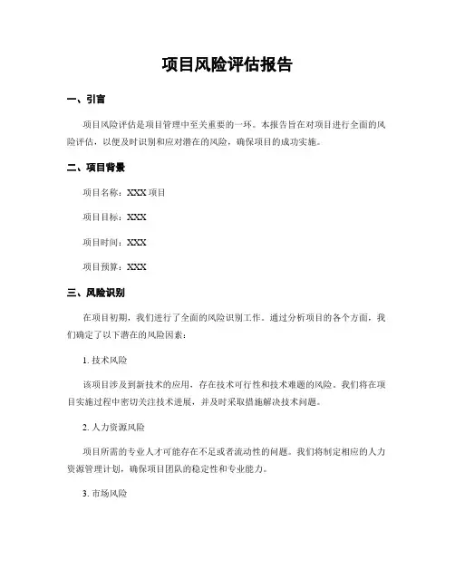 项目风险评估报告