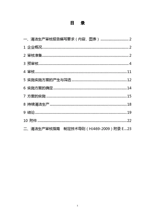 清洁生产审核报告各章节编写要求