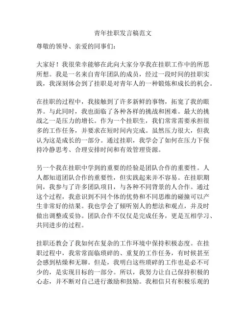 青年挂职发言稿范文
