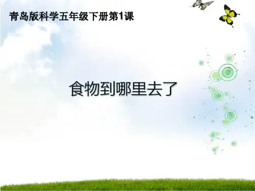 五年级下1食物到哪里去了青岛版共19张