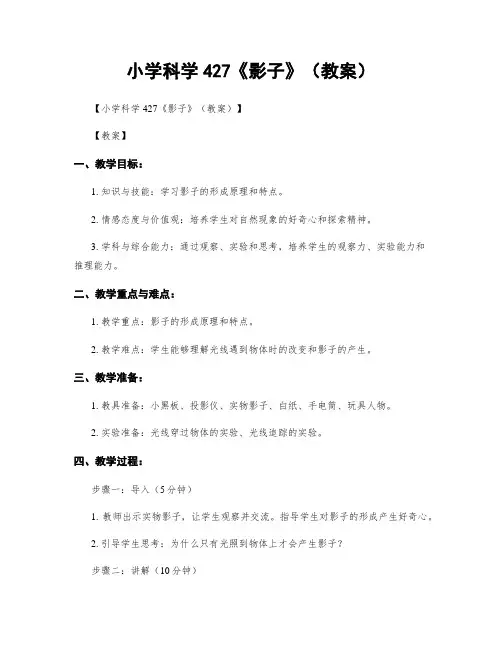 小学科学427《影子》(教案)