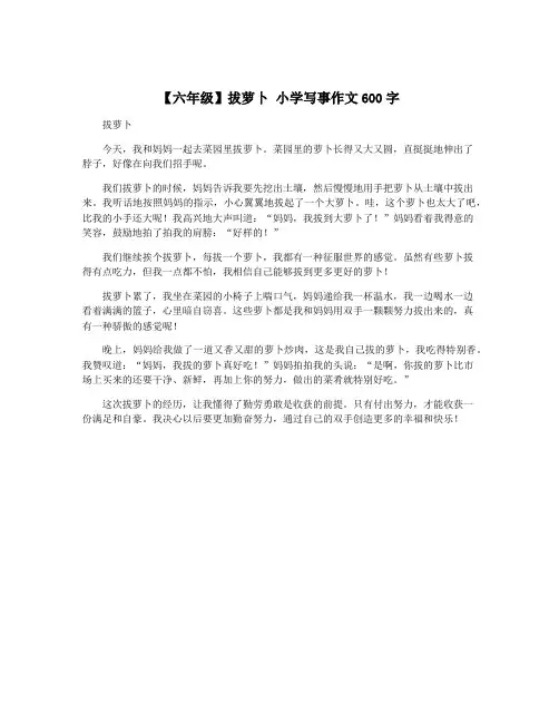 【六年级】拔萝卜 小学写事作文600字
