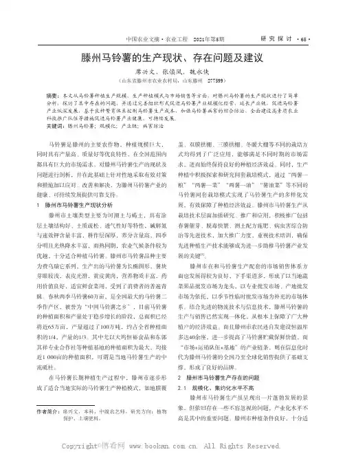 滕州马铃薯的生产现状、存在问题及建议