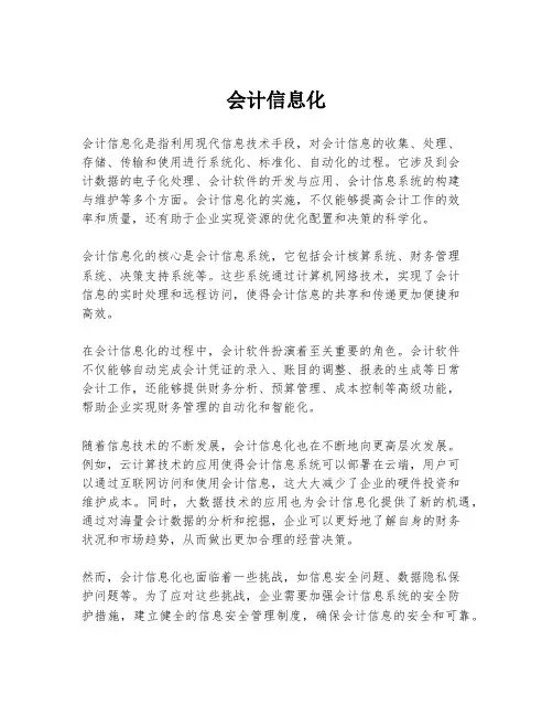 会计信息化