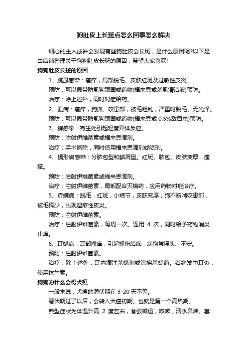 狗肚皮上长斑点怎么回事怎么解决