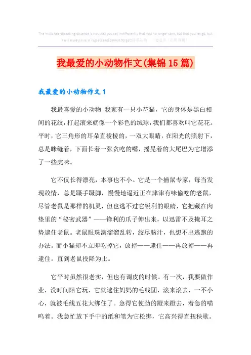 我最爱的小动物作文(集锦15篇)