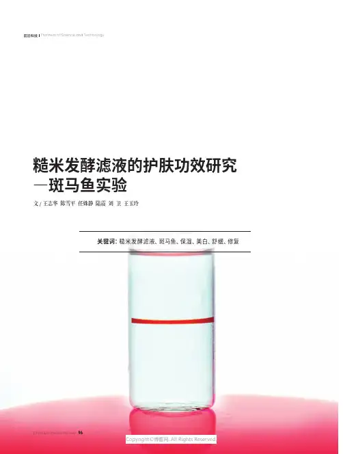糙米发酵滤液的护肤功效研究-_斑马鱼实验
