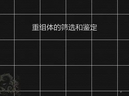 16-重组体的筛选和鉴定