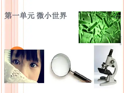 六年级科学下册教科版第一单元复习课：微小世界PPT课件