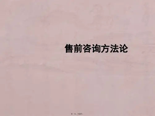 售前咨询方法论