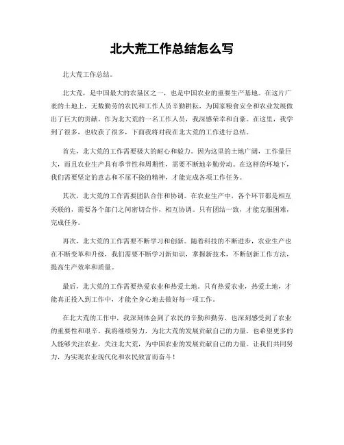 北大荒工作总结怎么写