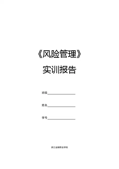 风险管理实训报告