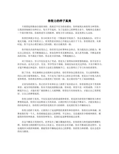 你努力的样子真美