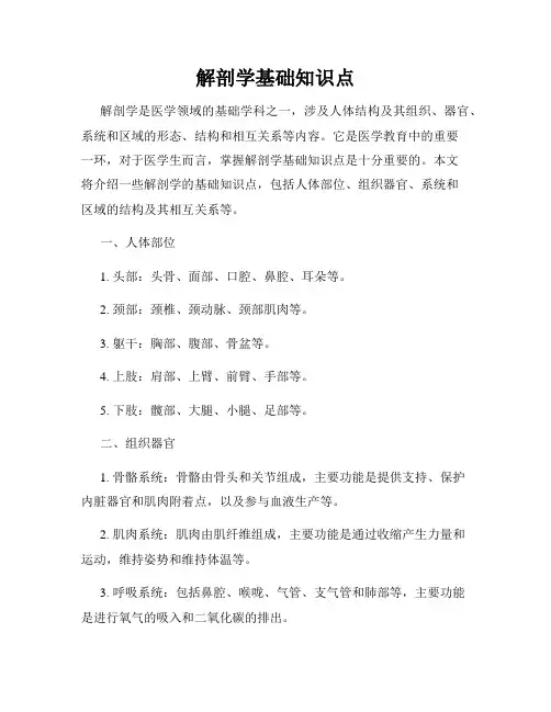解剖学基础知识点