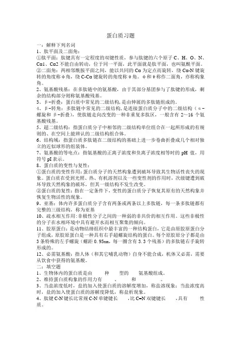 生物化学蛋白质复习题