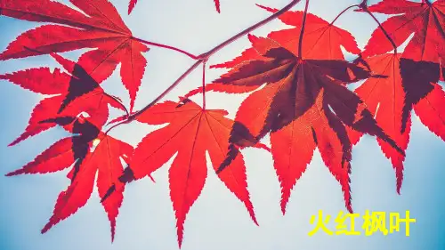部编教材一年级上册语文《秋天》完美PPT
